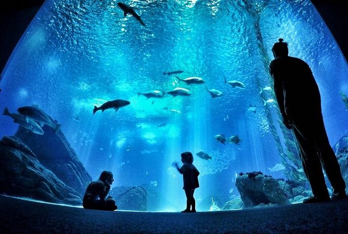 Fotografia do Ocean&aacute;rio de Lisboa