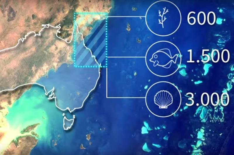 Maior recife de coral do mundo pode ser visto do espa&ccedil;o 