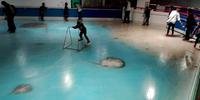 Após críticas, parque japonês fecha pista de patinação sobre 5 mil peixes congelados