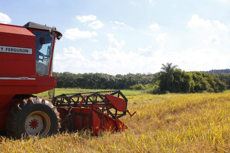 Produ&ccedil;&atilde;o agr&iacute;cola  de 2016 registra queda de 12,3%, aponta IBGE