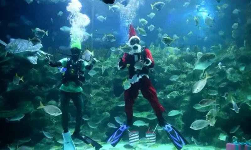 Aqu&aacute;rio do Noel na Mal&aacute;sia