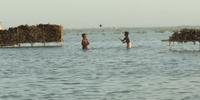 Comunidade tenta se manter viva em lago do Paquistão