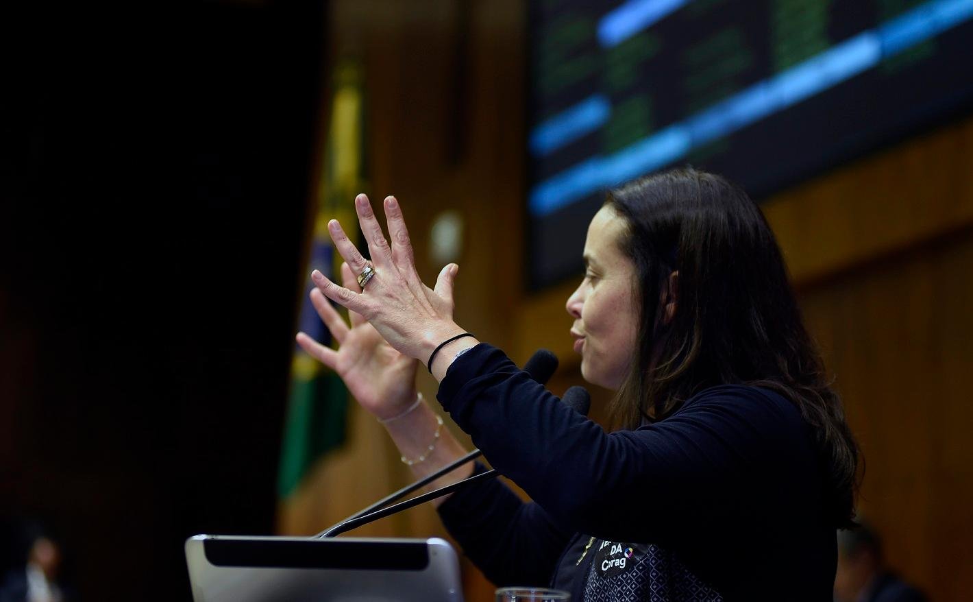 Deputada Juliana Brizola denunciou simpatizante do MBL &agrave; seguran&ccedil;a da Assembleia