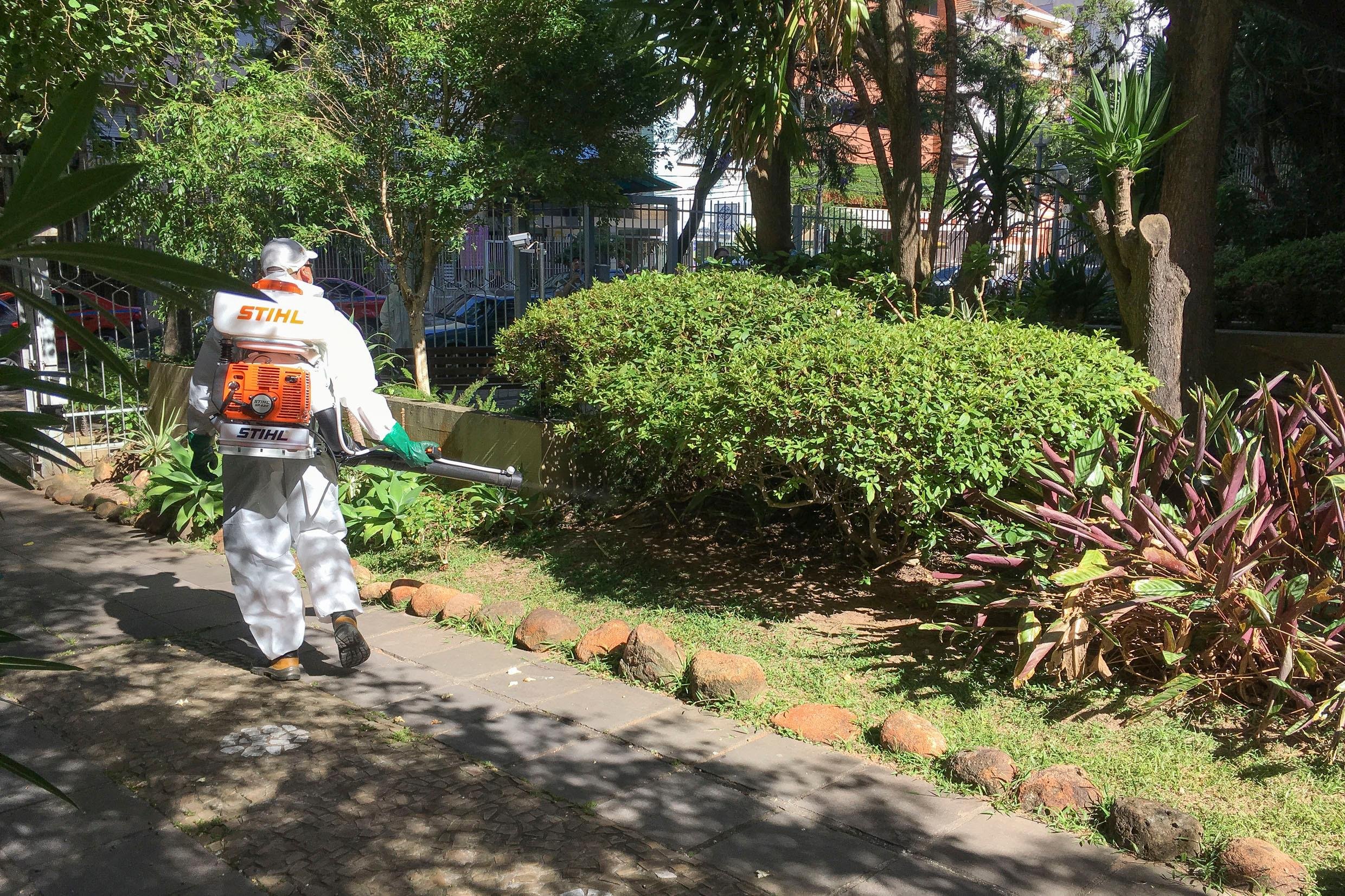 Infesta&ccedil;&atilde;o de Aedes aegypti em Porto Alegre atinge condi&ccedil;&atilde;o de alerta