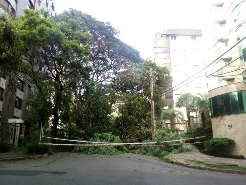 Porto Alegre registra queda de &aacute;rvores ap&oacute;s temporal 