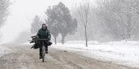 Onda de frio mata sete na Bulgária e pelo menos 65 na Europa