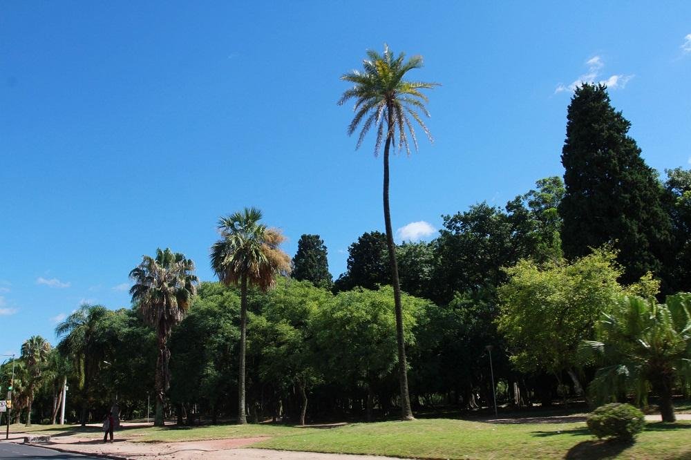 Porto Alegre ter&aacute; uma quinta-feira de sol e calor