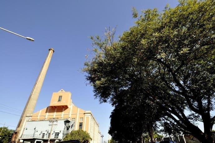Manh&atilde; ser&aacute; amena e m&aacute;ximas chegam a 31&deg;C &agrave; tarde