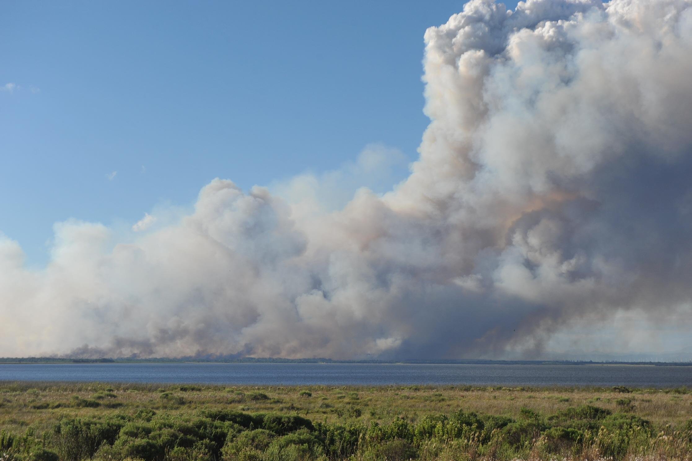 Pescadores podem ter causado inc&ecirc;ndio em floresta de Cidreira 