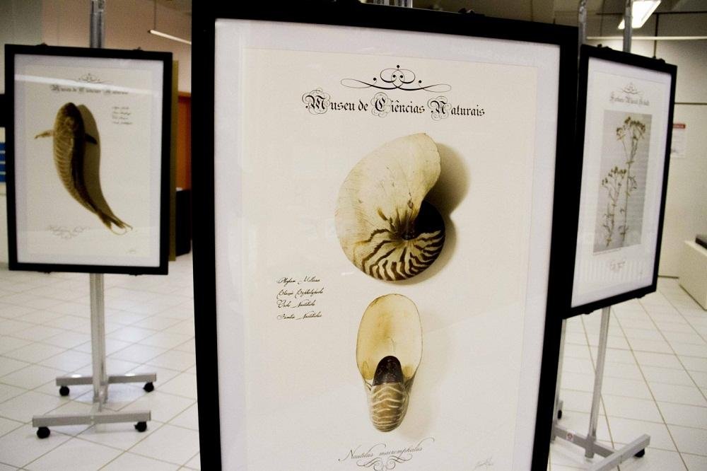 Exposi&ccedil;&atilde;o &ldquo;Infinitas Formas de Grande Beleza&rdquo; ocorre no Museu de Ci&ecirc;ncias Naturais da Univates
