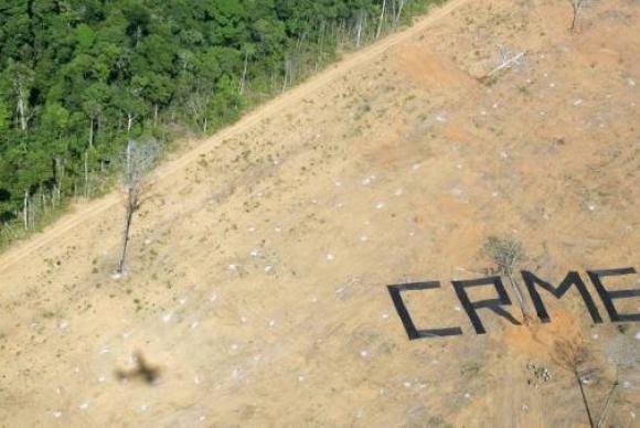 Tribunal Penal Internacional reconhece ecoc&iacute;dio como crime contra a humanidade