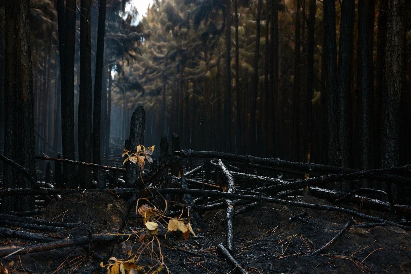 Inc&ecirc;ndio foi totalmente controlado ap&oacute;s quase uma semana