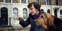 Sherlock Holmes de Benedict Cumberbatch foi eleito personagem preferido dos espectadores da BBC