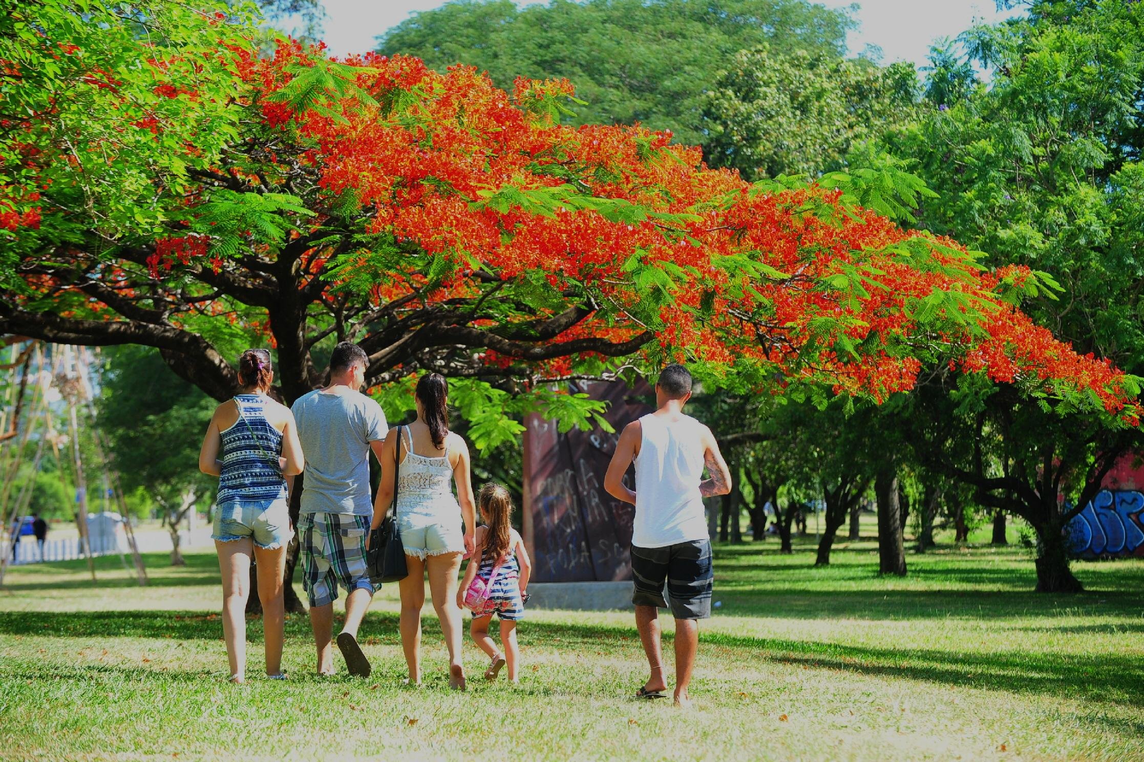 Domingo ser&aacute; de calor&atilde;o e de pancadas de chuva no Rio Grande do Sul