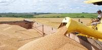 Preço da farinha pode subir 10% em março