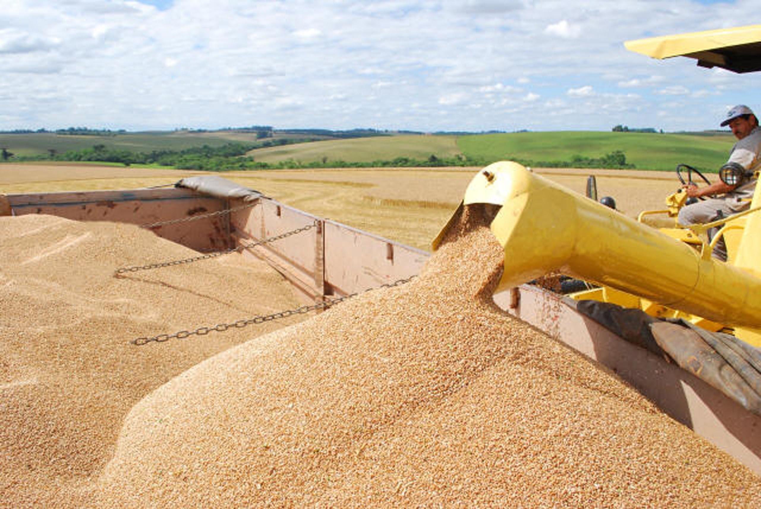 Pre&ccedil;o da farinha pode subir 10% em mar&ccedil;o