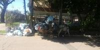 Equino carregava carroça com excesso de peso no bairro São Sebastião 