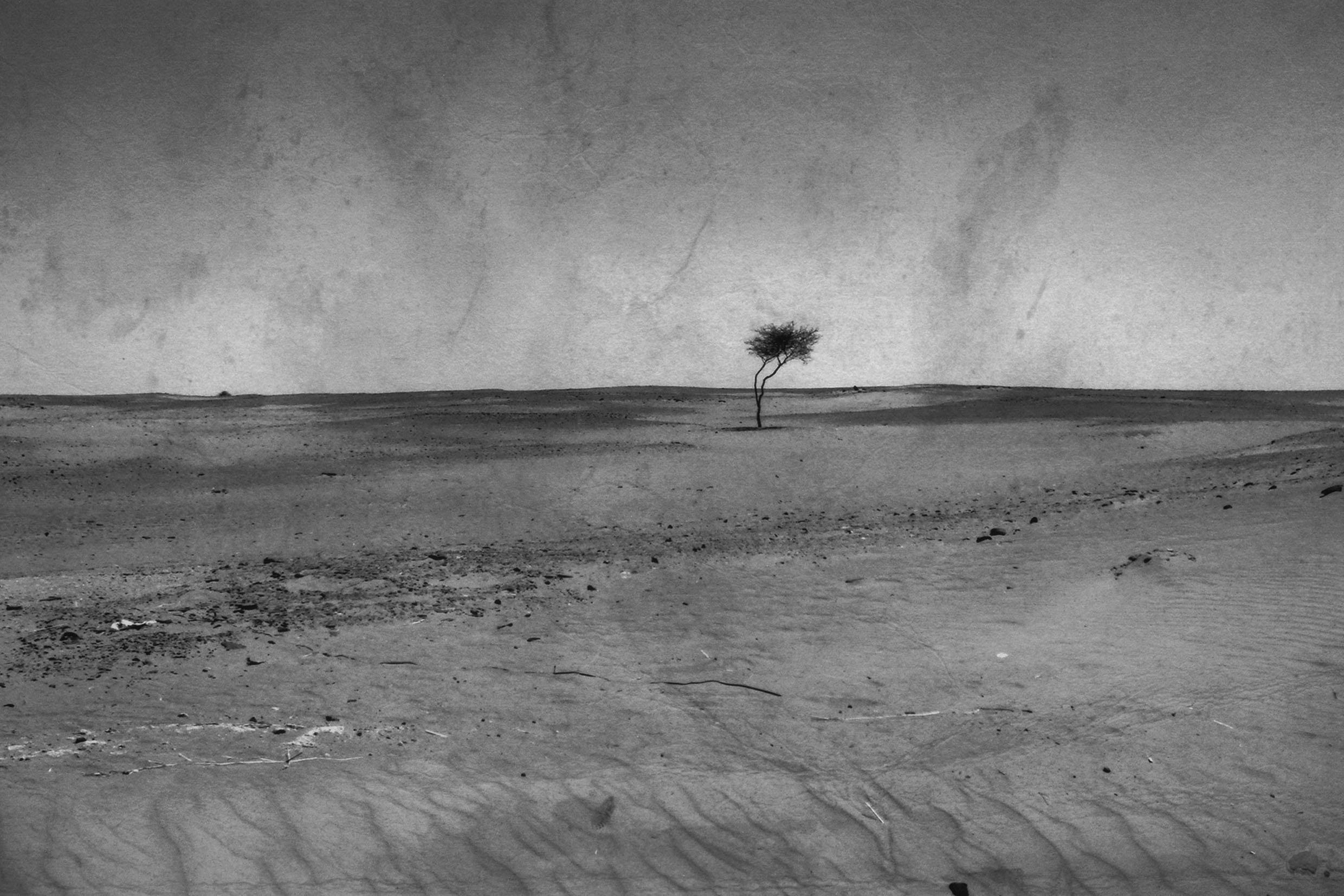 Projeto foi contemplado com o XV Pr&ecirc;mio Funarte Marc Ferrez de Fotografia 2015