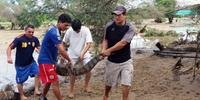 Jacarés e crocodilos fogem de zoológico por chuvas no Peru