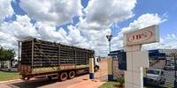 JBS suspende produção de carne bovina em 33 das 36 unidades que tem no Brasil