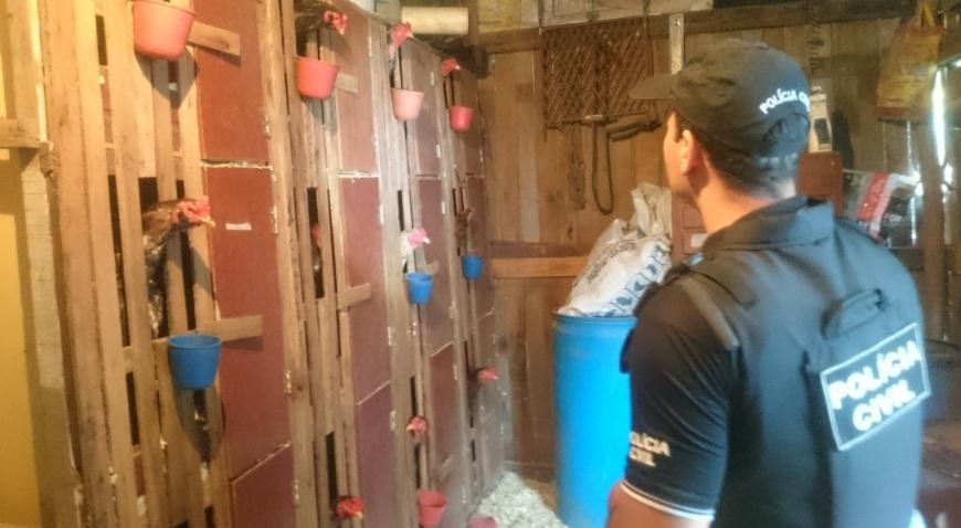 Opera&ccedil;&atilde;o combate maus tratos a animais no Vale do Sinos 