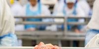 Senacon determina que frigorífico retire carne do mercado em Santa Catarina