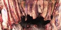 Seis toneladas de carne roubada são apreendidos em mercado de Caxias do Sul