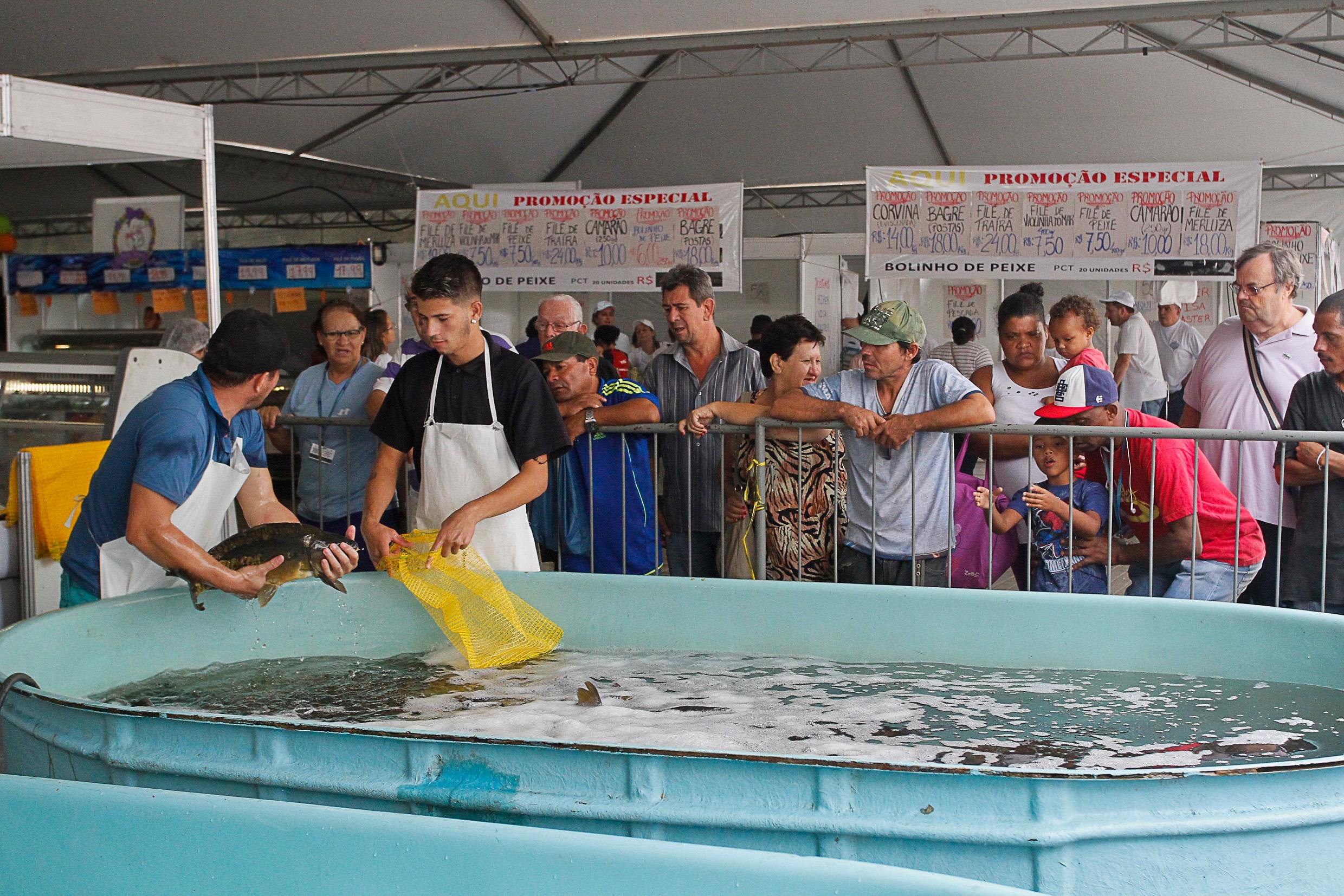 Feirantes de 75 bancas t&ecirc;m perspectiva de comercializar 375 toneladas de pescado