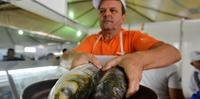 Feira do Peixe em Porto Alegre vende mais de 400 toneladas de pescado