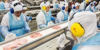 PF indicia mais de 60 pessoas investigadas na Operação Carne Fraca