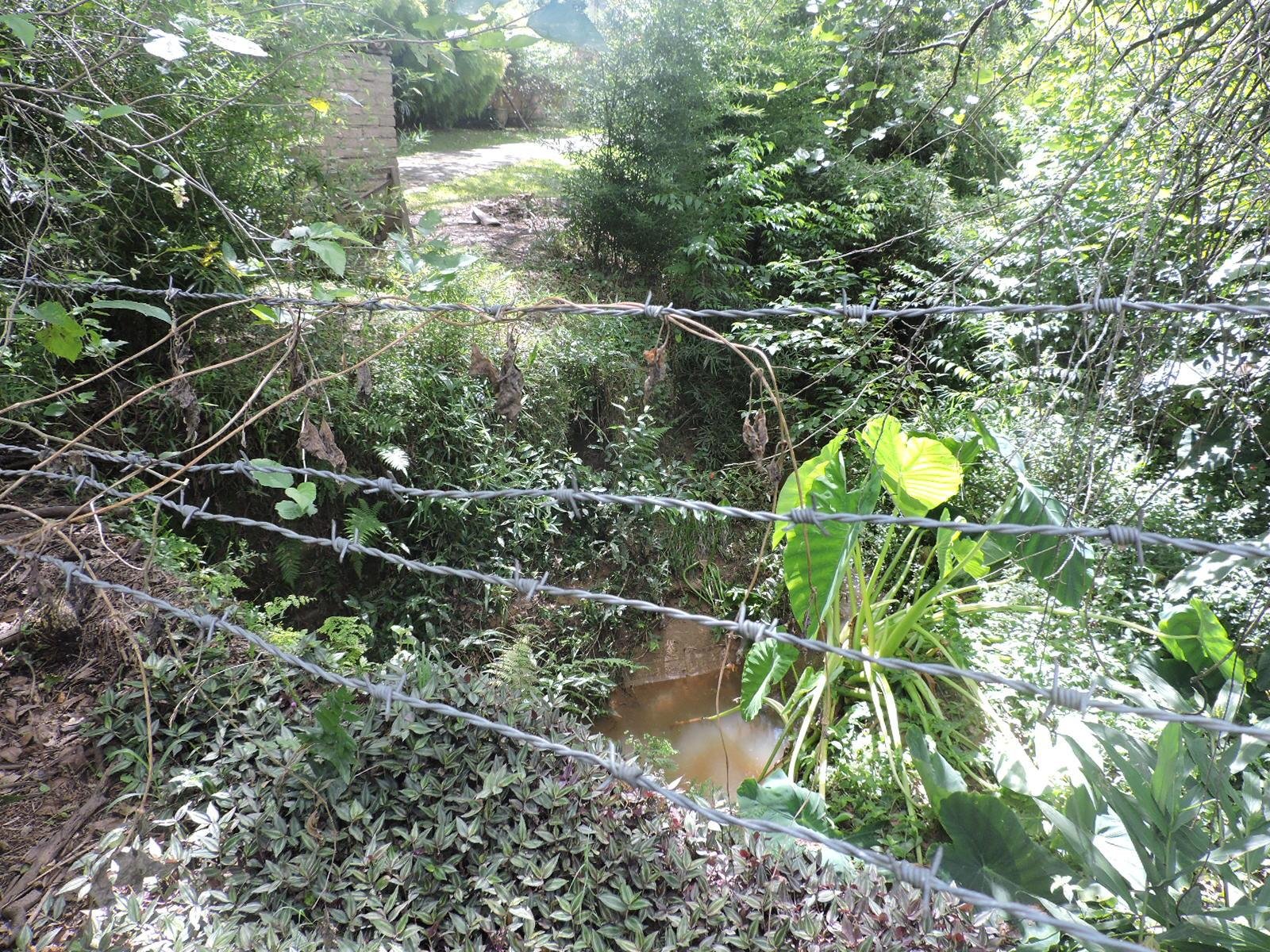 Lago aterrado no bairro Calif&oacute;rnia impede que &aacute;gua seja escoada de c&oacute;rrego