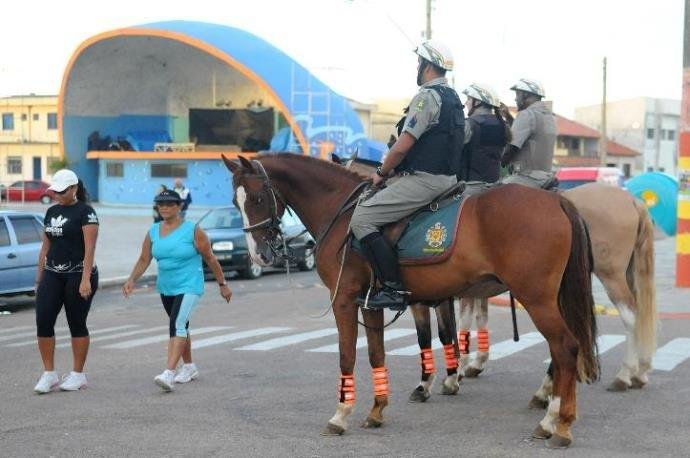 Cavalos de batalh&otilde;es da BM ser&atilde;o recolhidos e vendidos a leil&atilde;o em Santa Maria