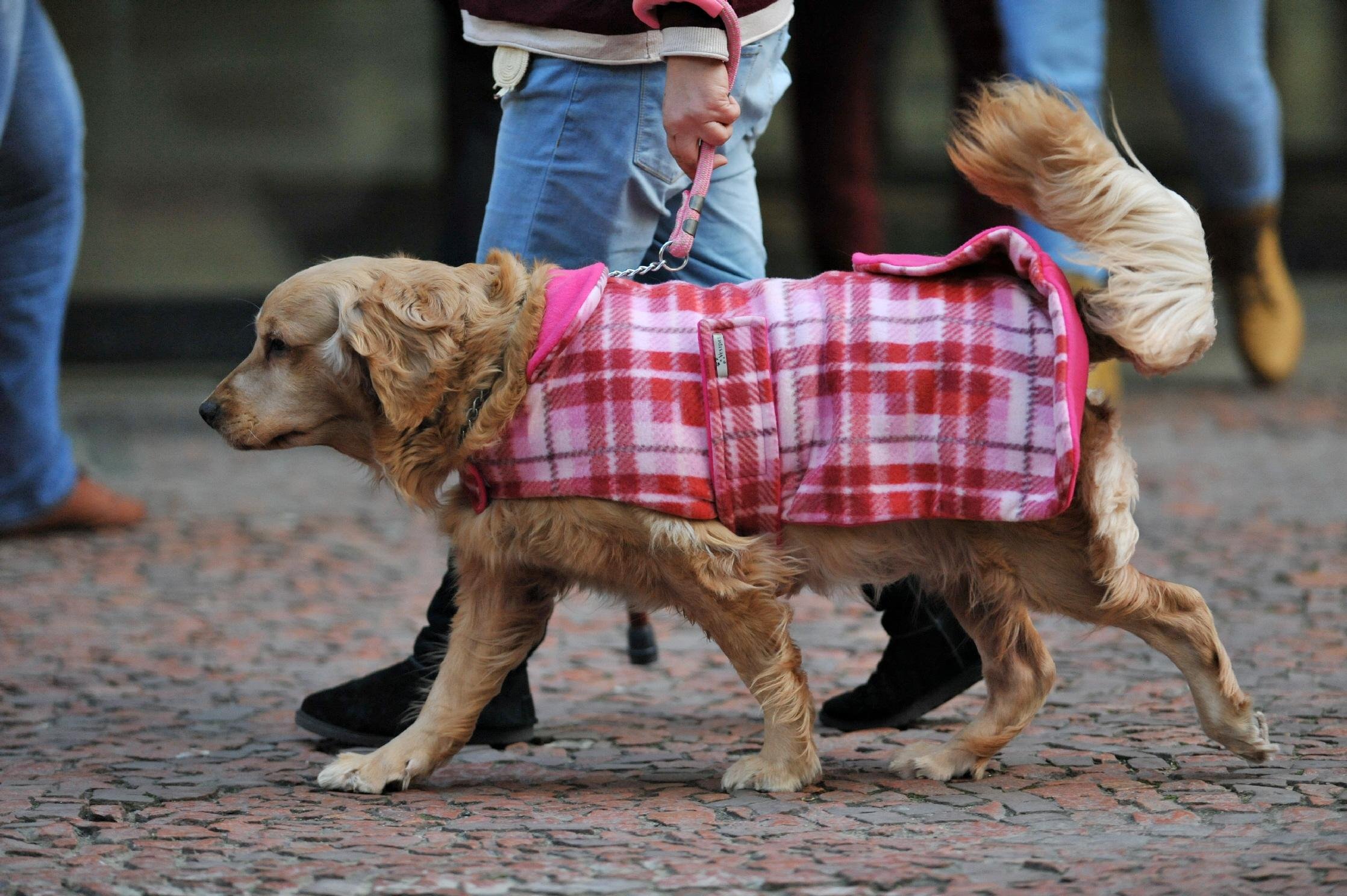 M&iacute;nima ser&aacute; de 6&deg;C em Porto Alegre nesta sexta-feira