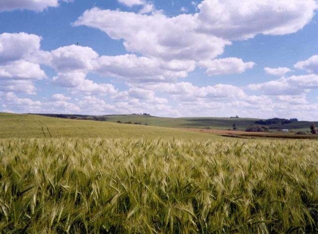Softwares facilitam vida do produtor no agroneg&oacute;cio 