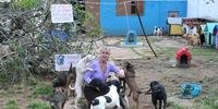 Quase 50 animais vivem aos cuidados de Luciana, que busca doações para manter casa