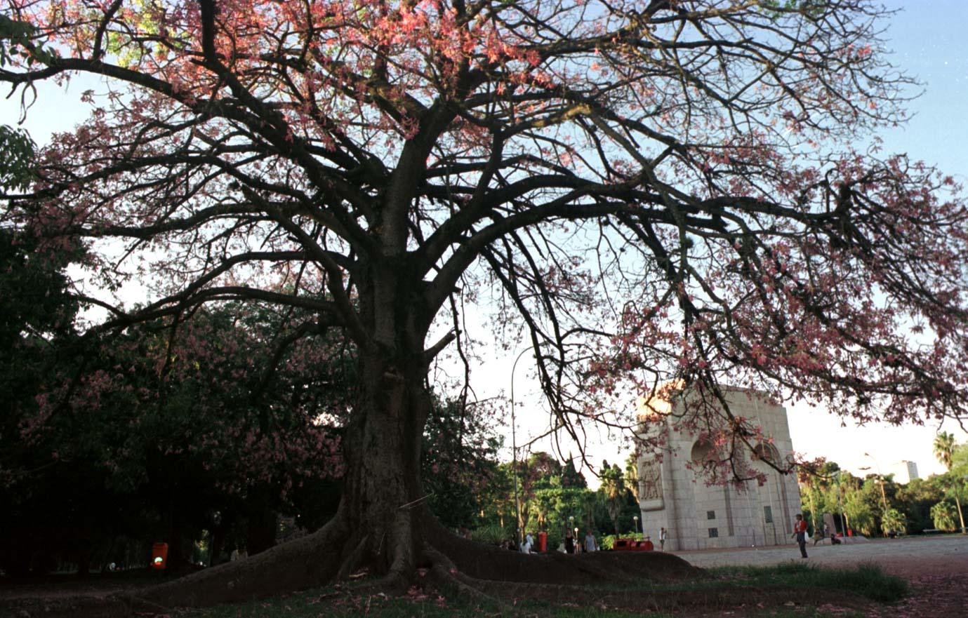Amanhecer ser&aacute; frio, mas as temperaturas sobem durante a tarde