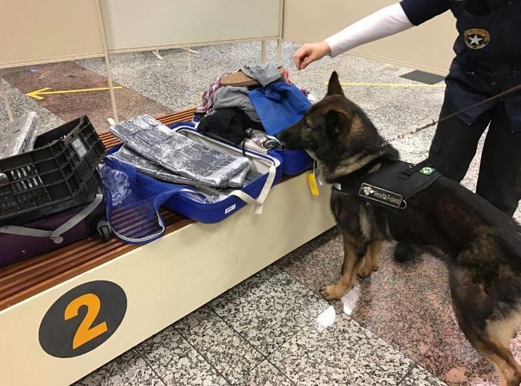 Quase 15 quilos de haxixe foram apreendidos no Salgado Filho em Porto Alegre