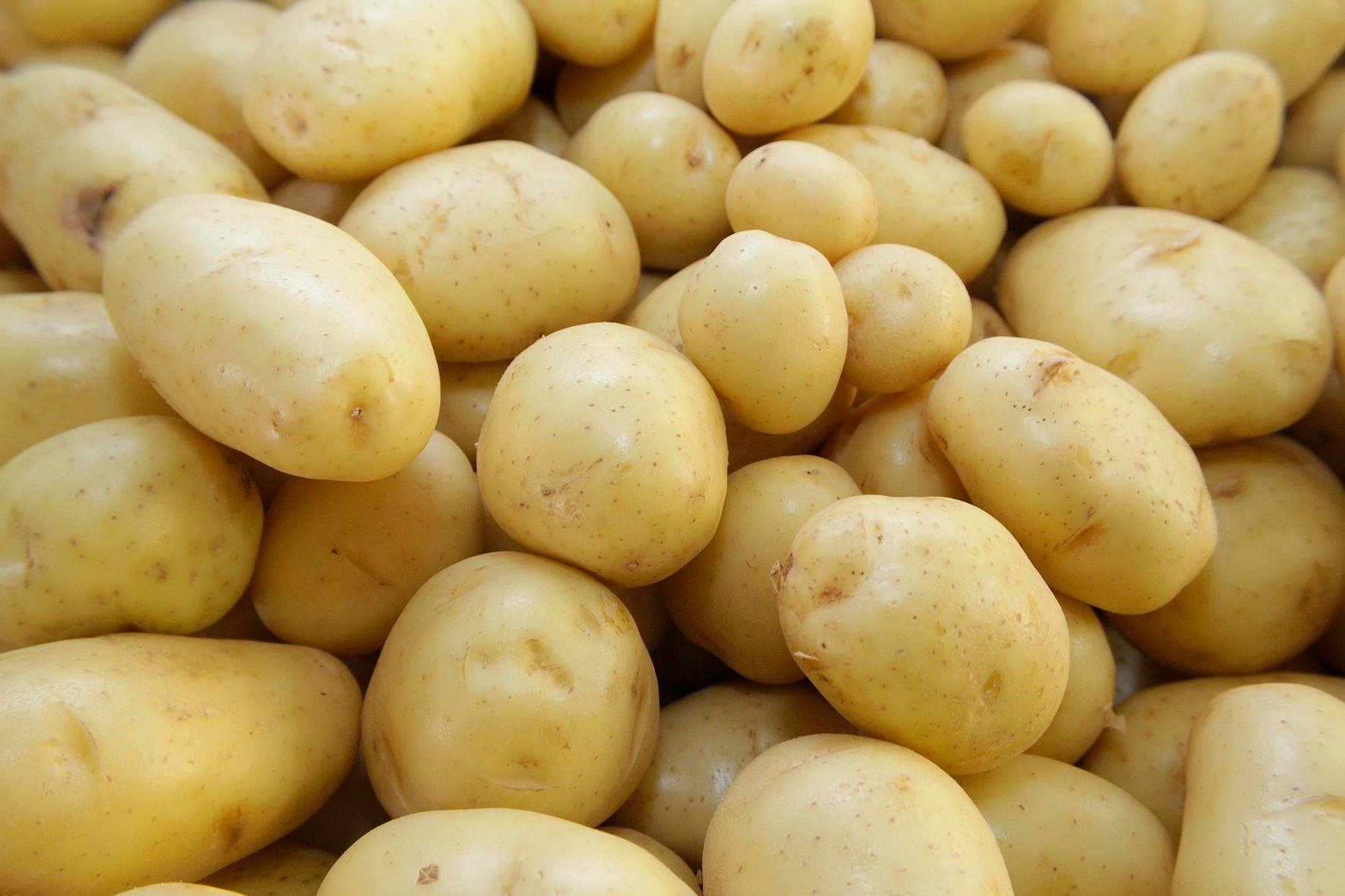 Batata-inglesa registrou maior alta, com 16,08%