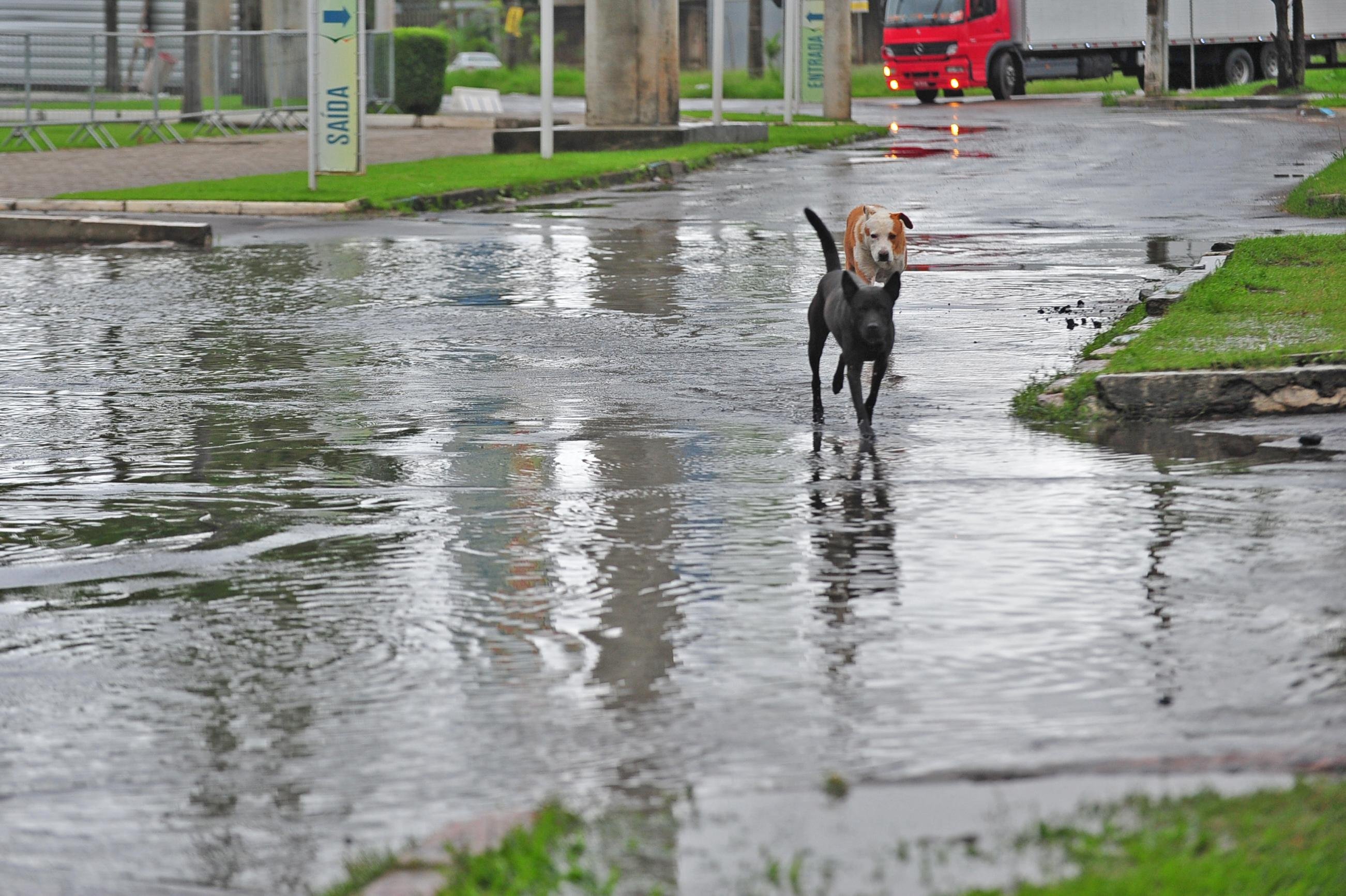 Domingo ser&aacute; de mais chuva e com rios subindo no RS