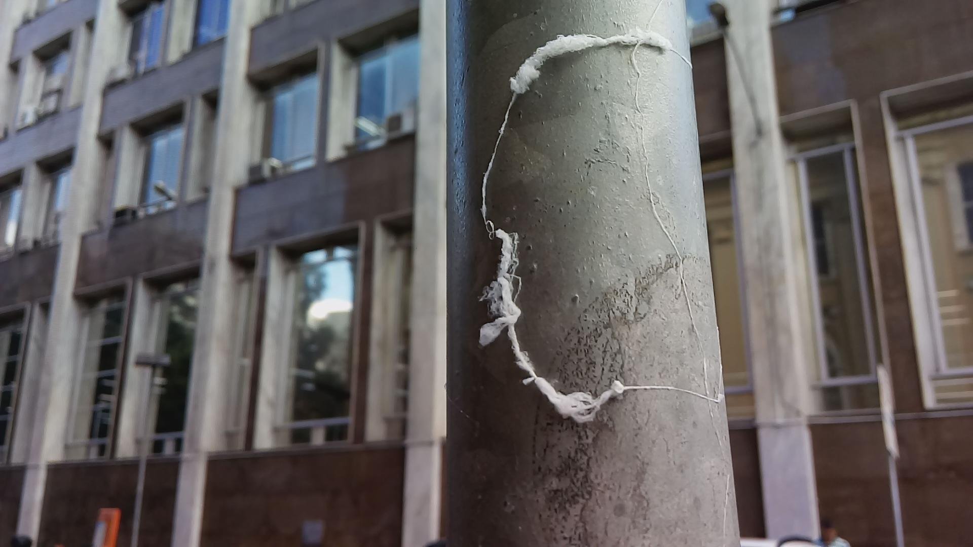Teias de aranha s&atilde;o vistas em v&aacute;rios pontos da Capital