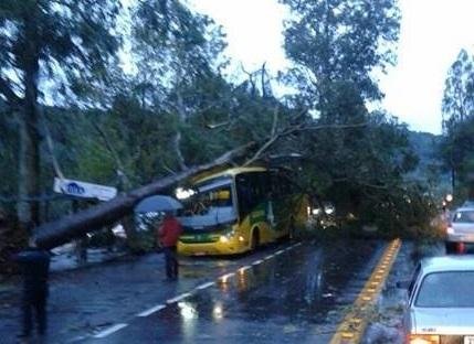 Acidente ocorreu na manh&atilde; desta quinta-feira em Caxias do Sul