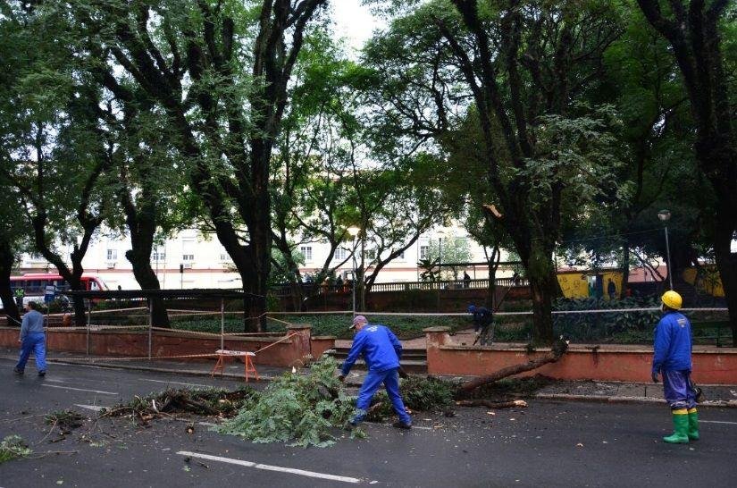 Risco de queda de &aacute;rvores bloqueia terminais na Pra&ccedil;a Dom Feliciano