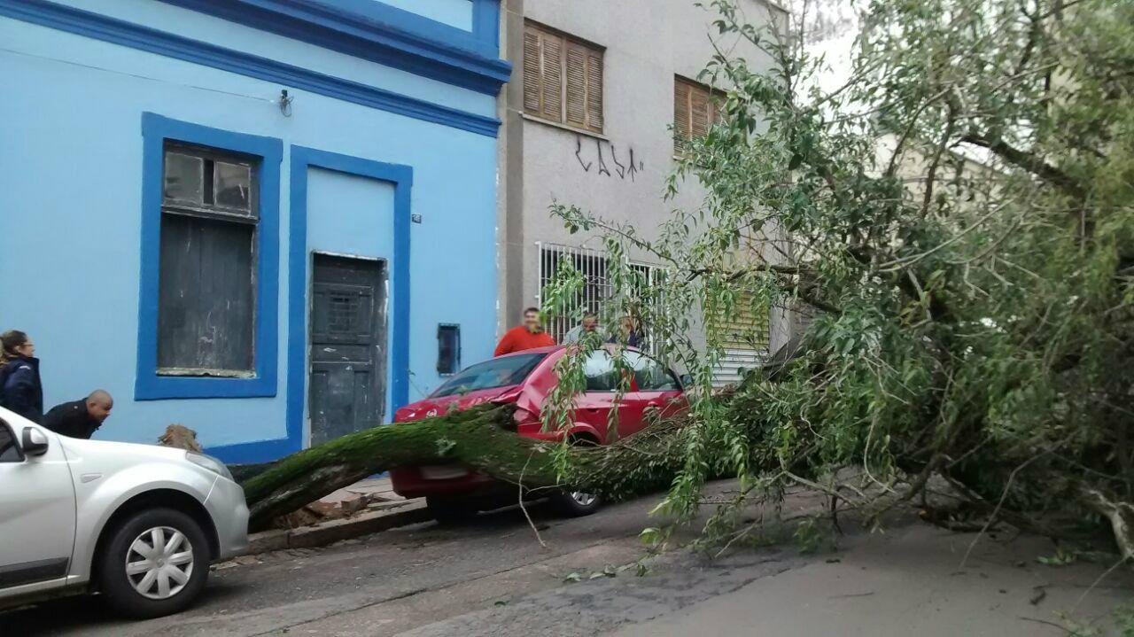 &Aacute;rvore atingiu a traseira de um carro na rua Duque de Caxias