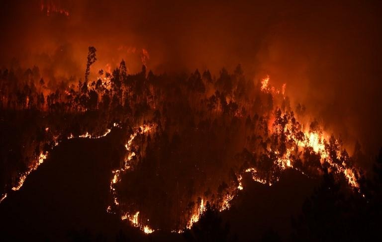 Inc&ecirc;ndio que atingiu Pedr&oacute;gr&atilde;o Grande e regi&atilde;o &eacute; o incidente que fez mais v&iacute;timas fatais na hist&oacute;ria recente de Portuga