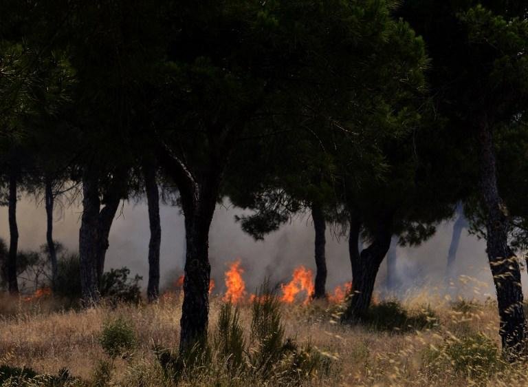 Inc&ecirc;ndio em parque natural espanhol for&ccedil;a a sa&iacute;da de 1,5 mil pessoas 