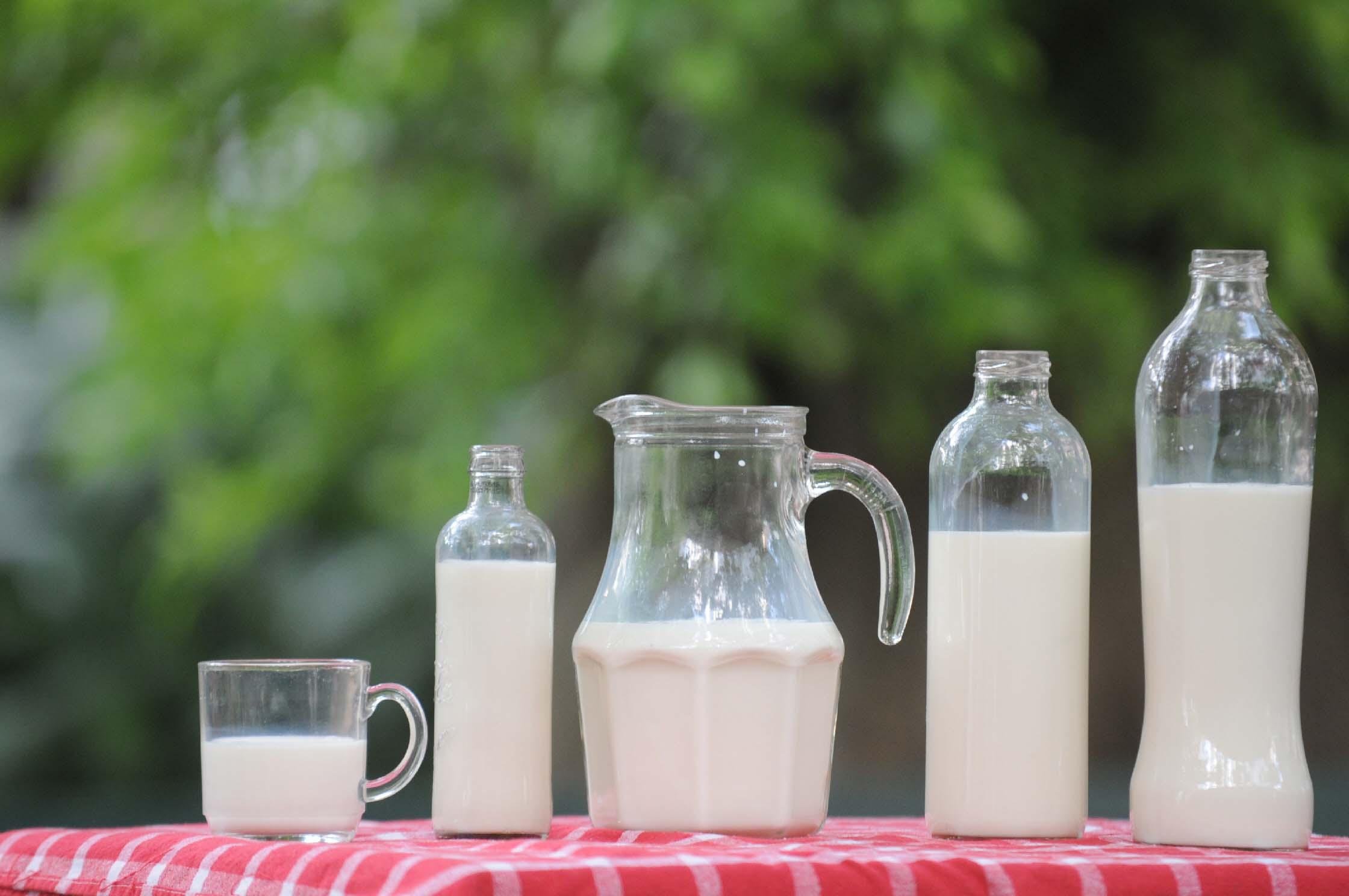 Aumento de consumo de produtos com baixo teor de lactose aumenta investimentos