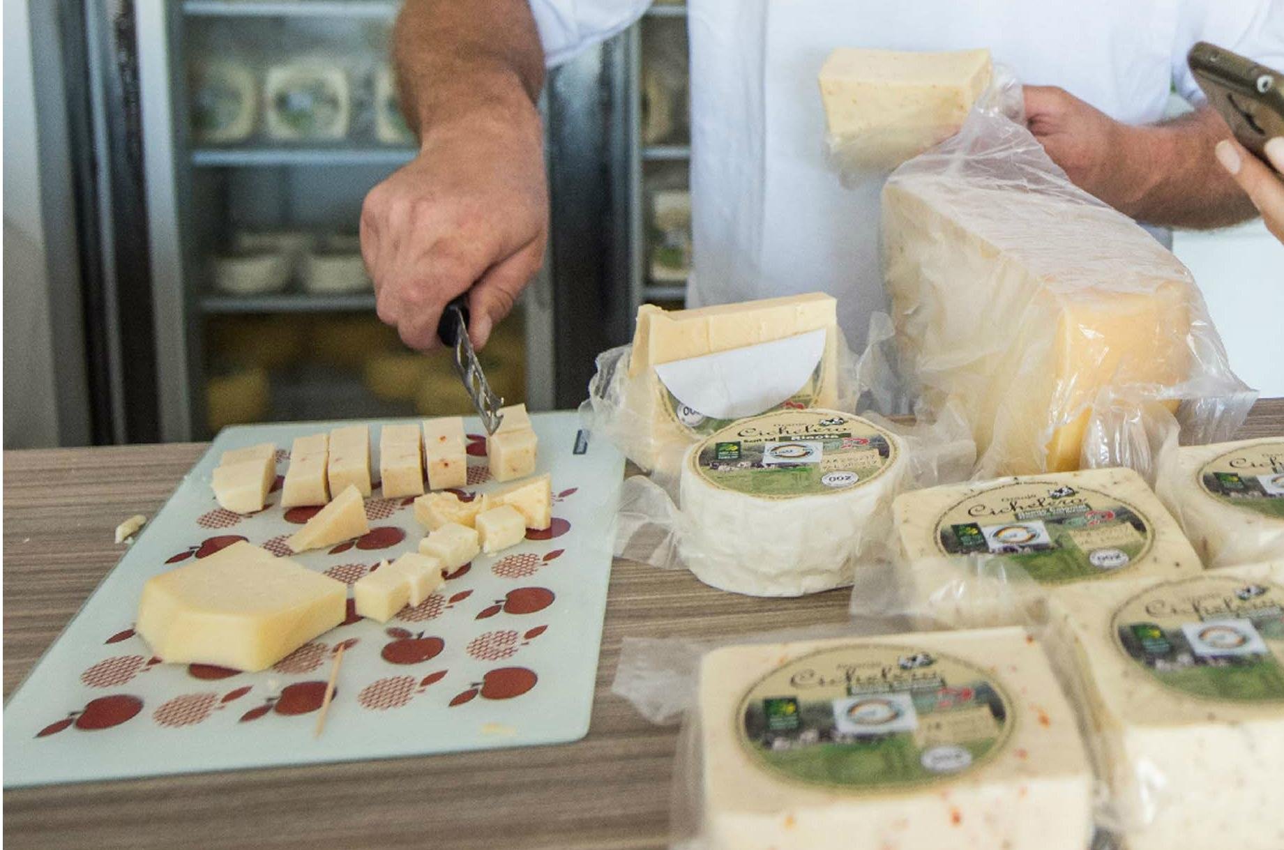Produtores de Carlos Barbosa preparam queijo colonial com baixo teor de lactose