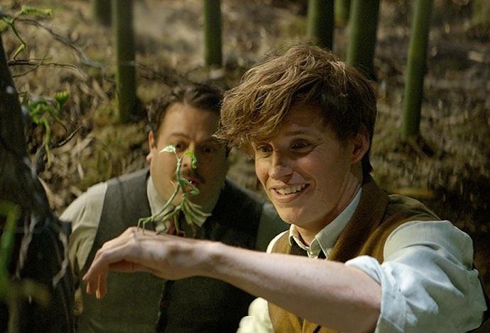Dan Fogler e Eddie Redmayne em cena do primeiro filme da s&eacute;rie