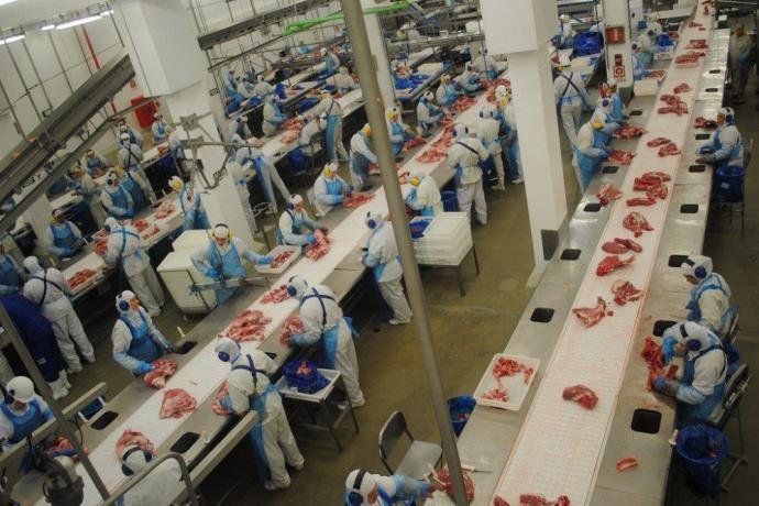 Determina&ccedil;&atilde;o do Minist&eacute;rio da Agricultura tenta retomar abertura para produto do Brasil