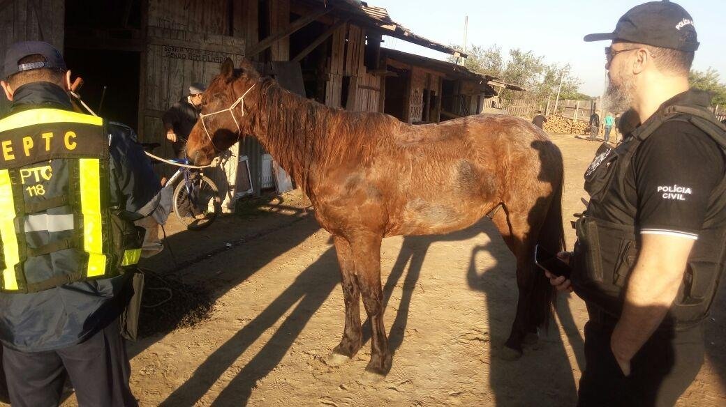 Carro&ccedil;as foram apreendidas e multas efetuadas durante a&ccedil;&atilde;o nesta quinta-feira